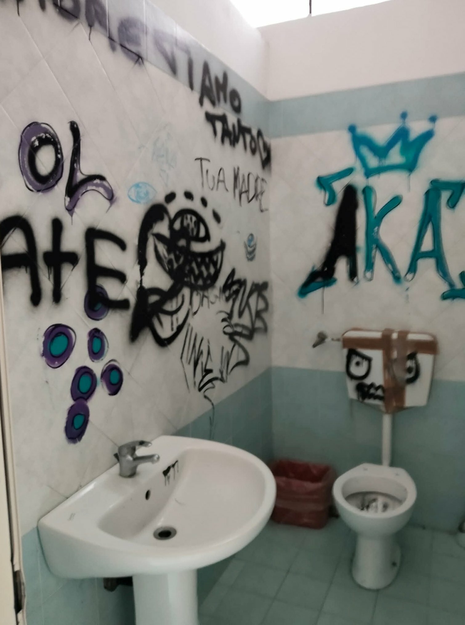 servizi-igienici-vandalizzati.jpeg