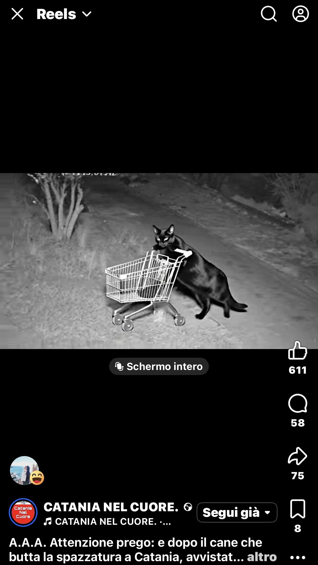 img_8761.jpeg img_8761.jpeg