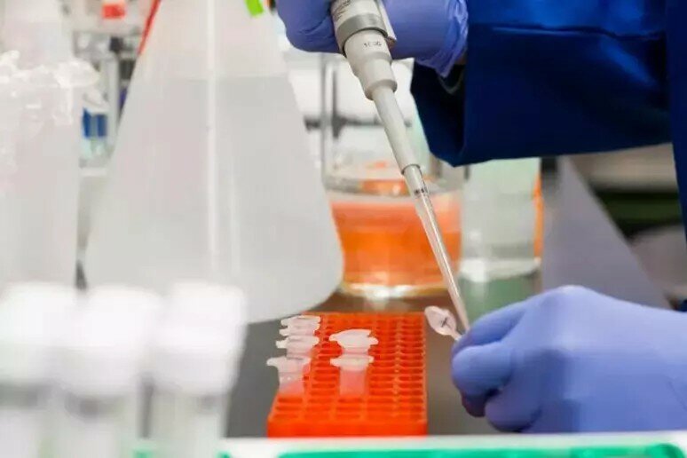 Non &egrave; ebola: negativo test sul paziente tornato dal Congo