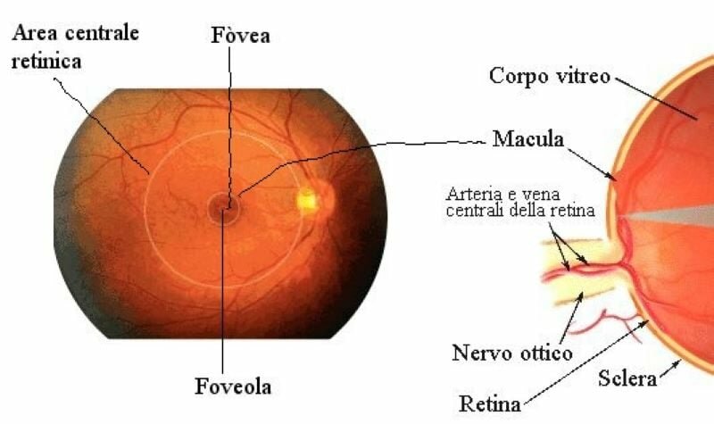 Maculopatia: In Sicilia un centro specialistico