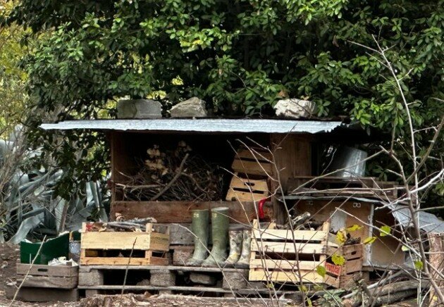 Prelevati dalla polizia bimbi che vivevano nel bosco