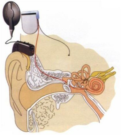 screenshot-2026-01-16-200322.jpeg screenshot-2026-01-16-200322.jpeg