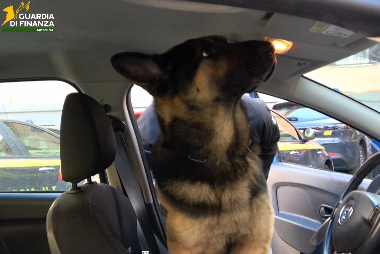 Scoperto il nascondiglio, Lord fiuta 4 chili di hashish