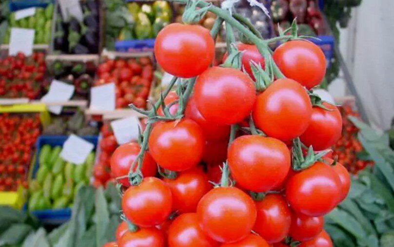 Rischio salmonella, a Gela protocollo sul pomodorino