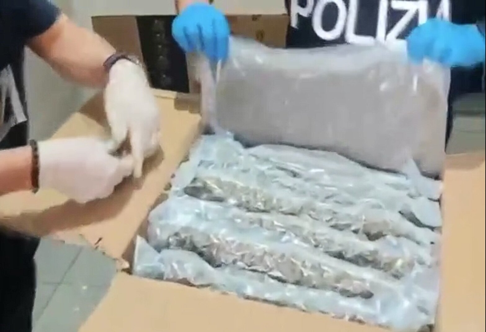 Marijuana adulterata e documenti falsi: arrestato a Catania