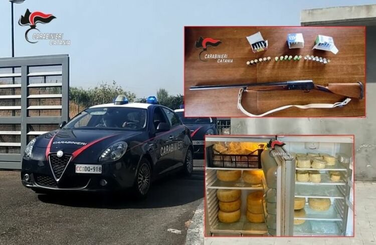 Nella masseria catanese armi e caciotte proibite