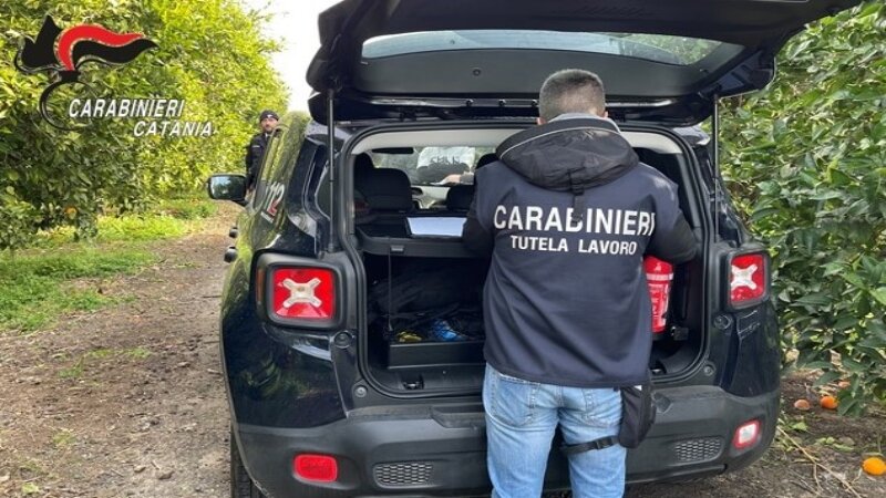 Sfruttati nelle campagne di Belpasso: un arresto