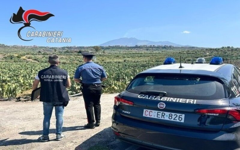 Biancavilla, nelle coop agricole 6 operai in nero