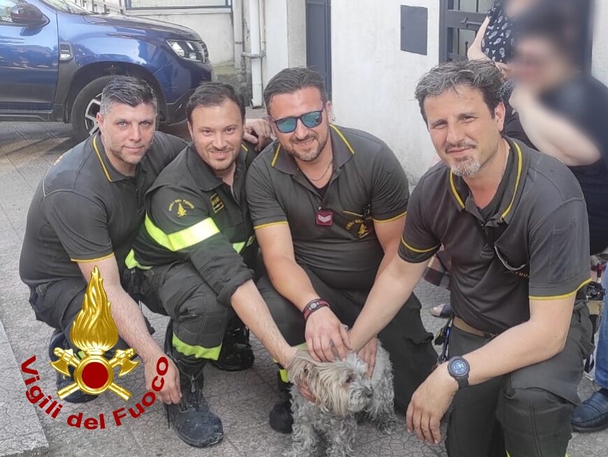 Appartamento in fiamme, i pompieri salvano Lilly