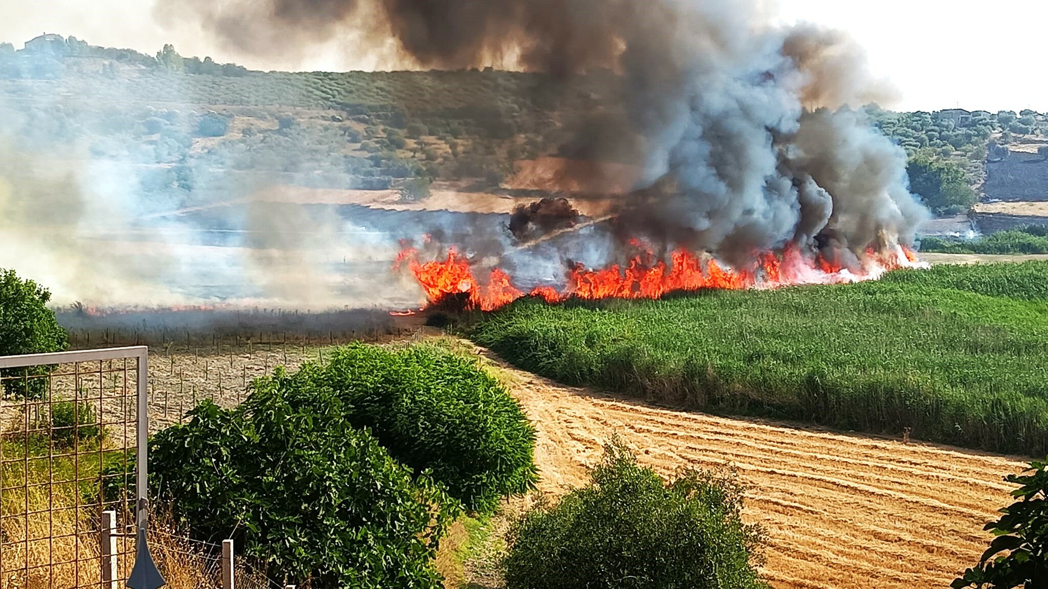 Incendio distrugge parte della riserva Lago Soprano