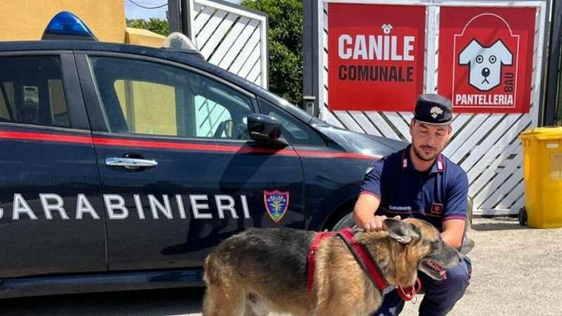 Pantelleria
