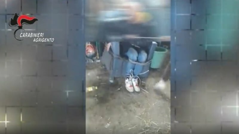 Disabili picchiati e derisi sui social: quattro condanne