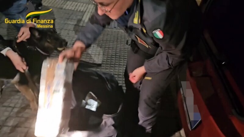 Il 'cash dog' fiuta 600.000 euro