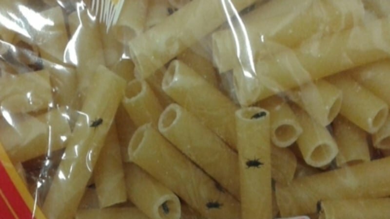 Su Tik Tok mostra insetti nella pasta: querelata