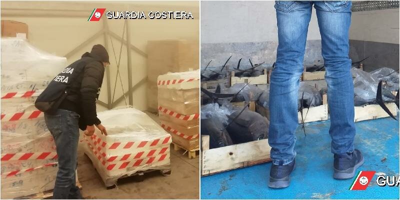 Sequestrati 3mila chili di pesce non tracciato