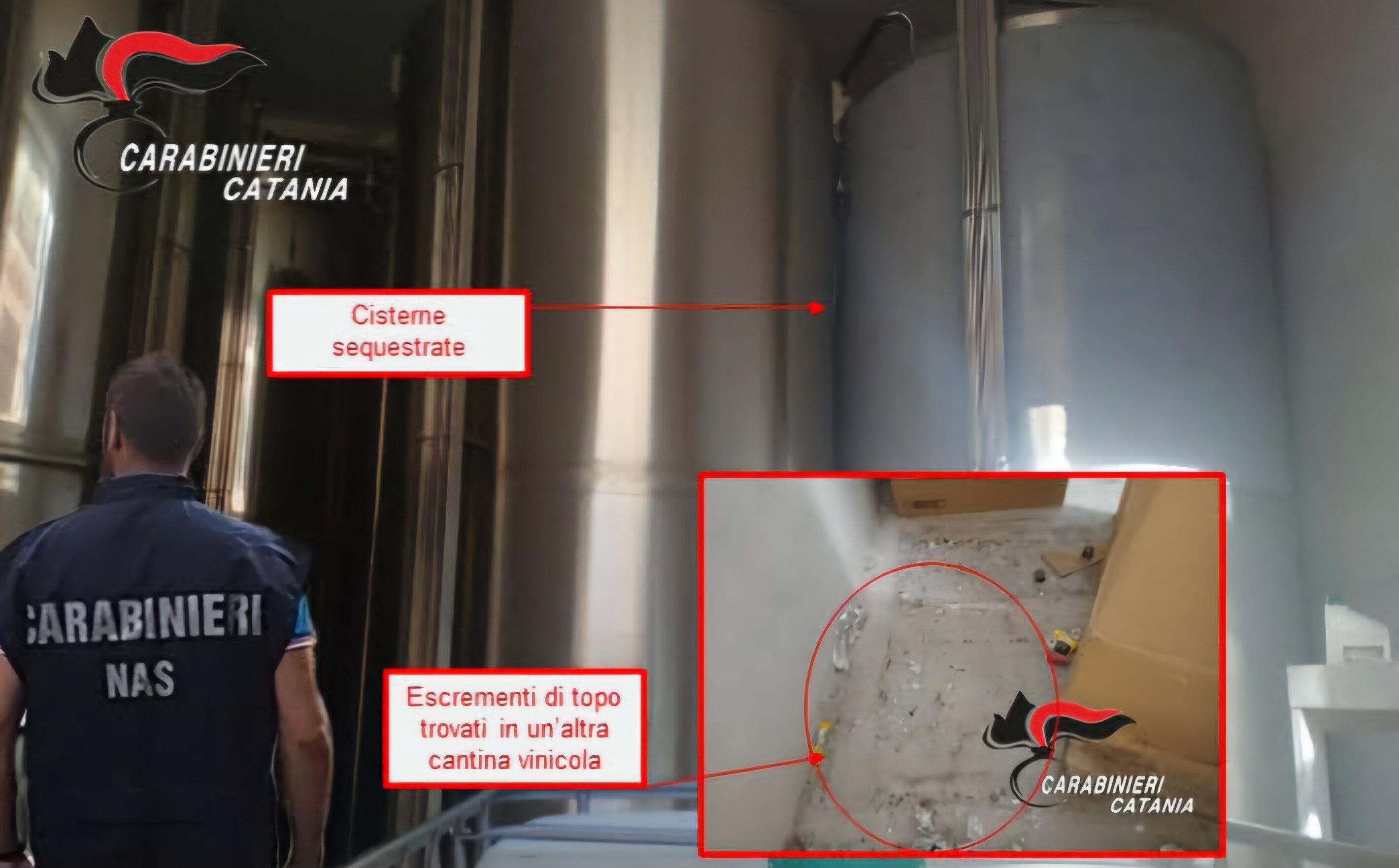 Prodotti scaduti e bottiglie tra escrementi di topo Prodotti scaduti e bottiglie tra escrementi di topo