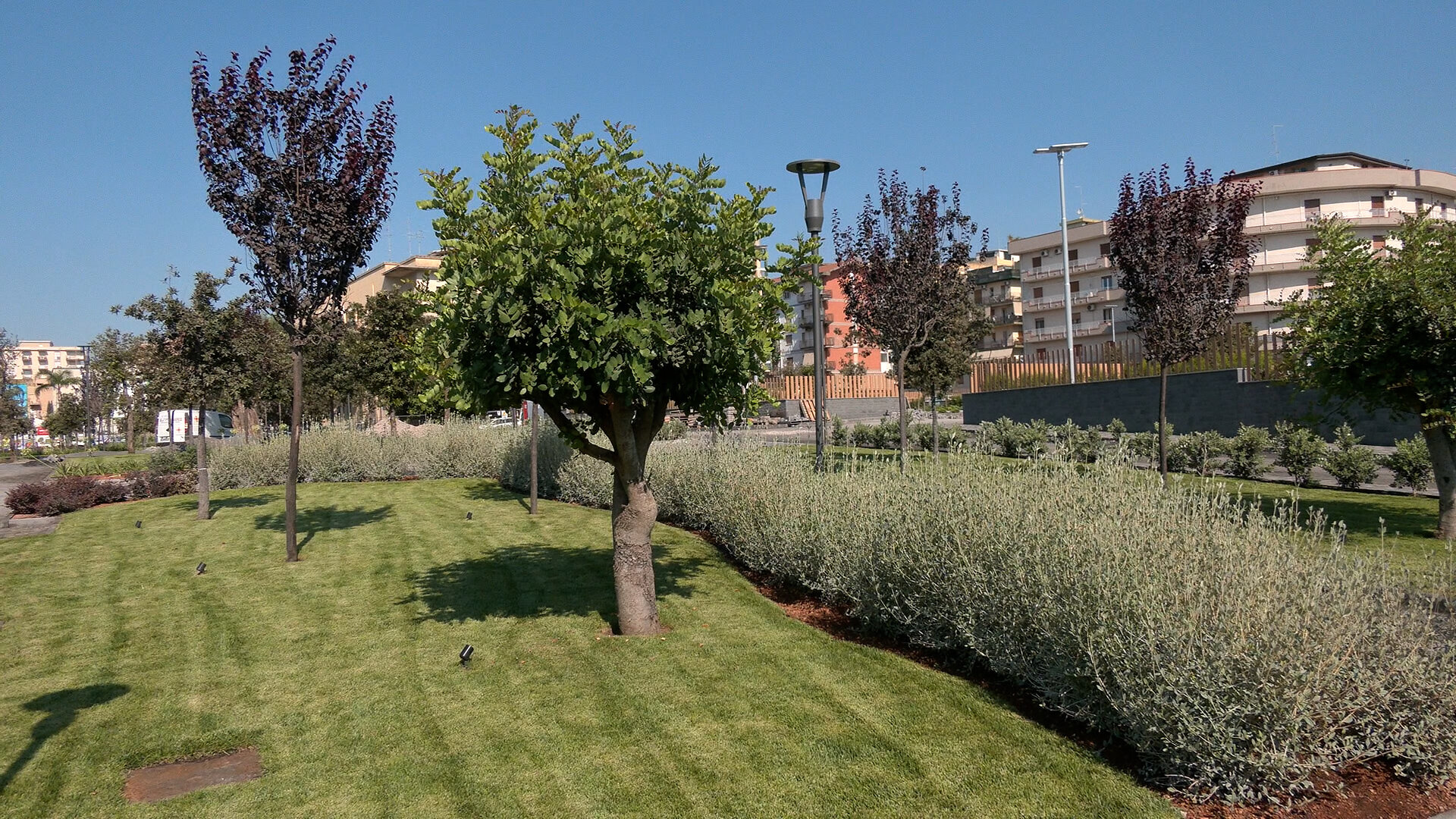 Piazza Michelangelo: gli ultimi dettagli