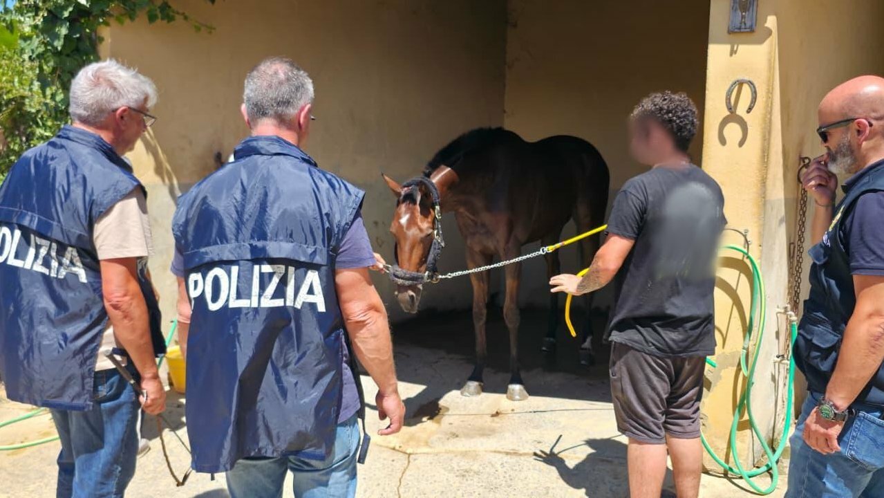 Strani movimenti di calessi e cavalli, bloccata la corsa