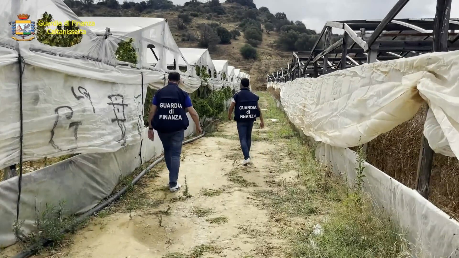 Gela, marijuana a fiumi