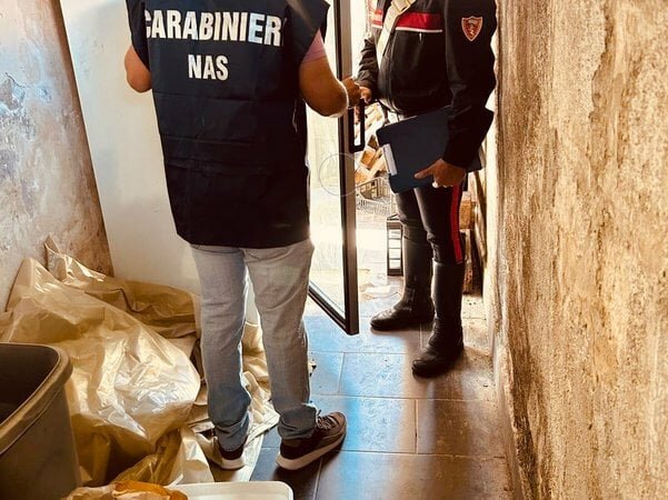Sporcizia e blatte: chiuso un panificio