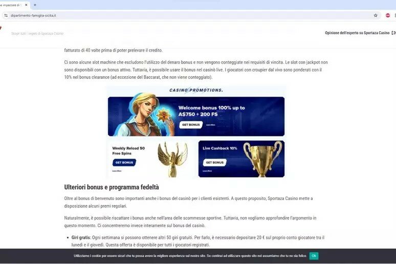 Link per gli invalidi porta a pagina web di un casin&ograve;