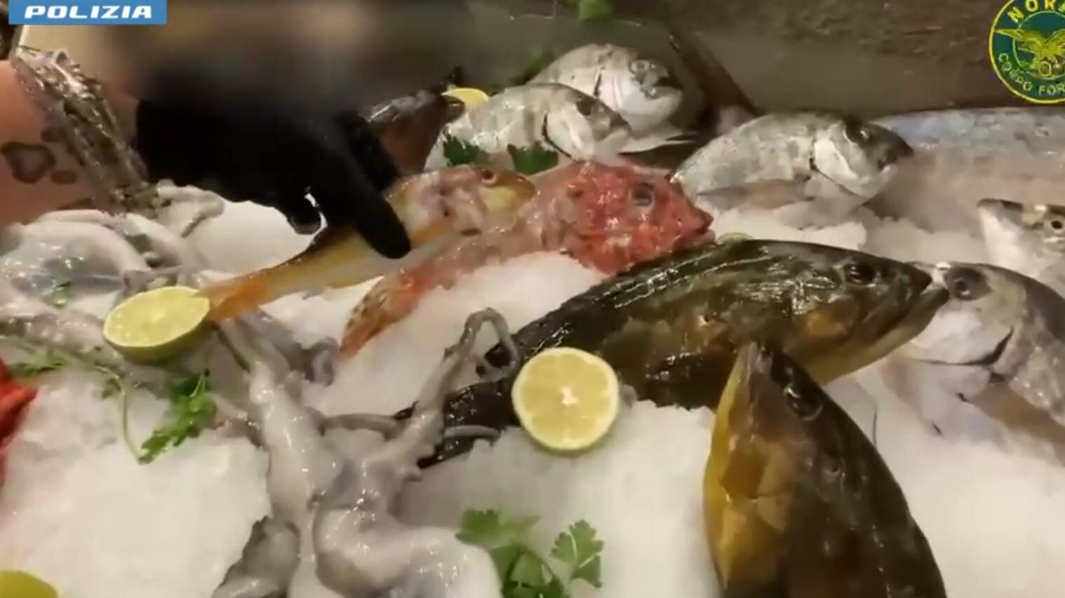 In due locali catanesi 34 kg di pesce 'sconosciuto' In due locali catanesi 34 kg di pesce 'sconosciuto'