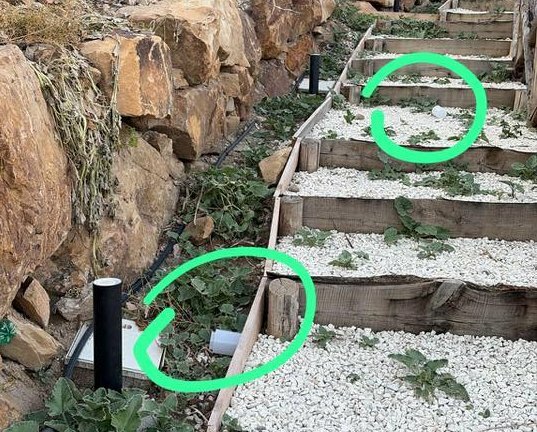 I vandali al parco sono due bimbi di 8 e 9 anni