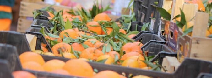 Prodotti dop: ecco quali rischiano l'estinzione