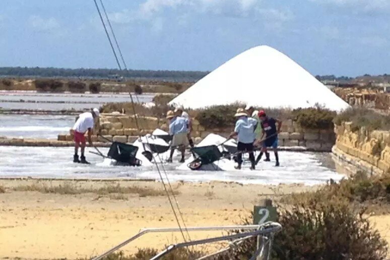 Saline di Trapani e Paceco ridotte come paludi