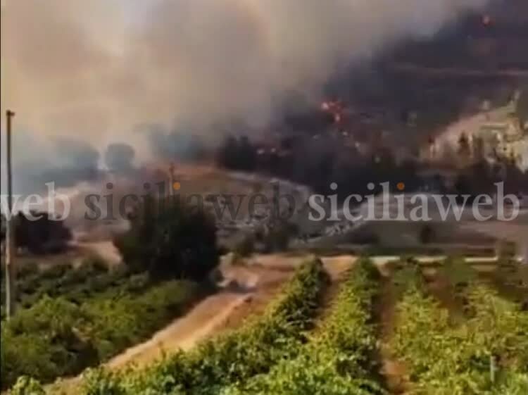 Le fiamme divorano la macchia mediterranea