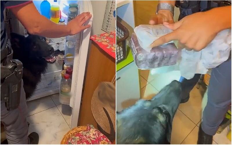 Catania: panetti di hashish nel frigorifero