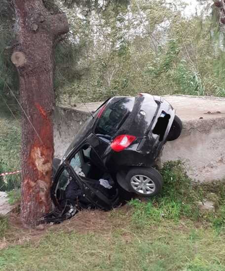 Auto contro pino secolare: muore ragazza