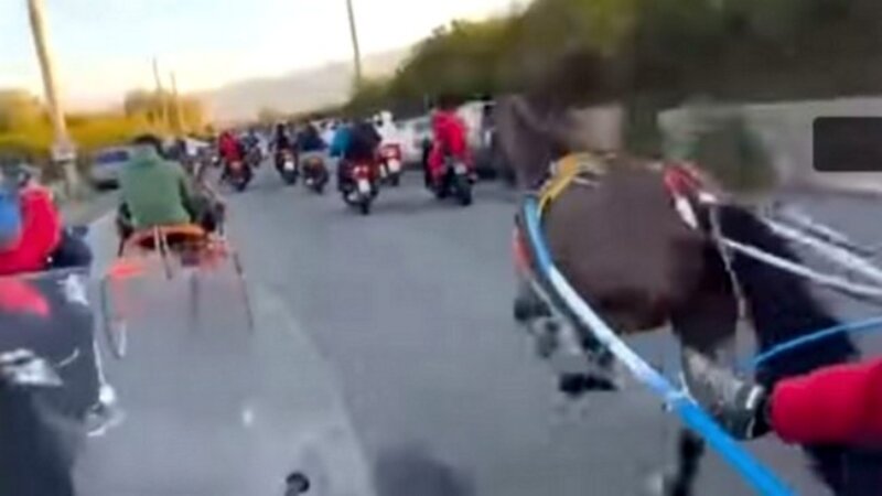 Corse clandestine di cavalli: incastrati dai social