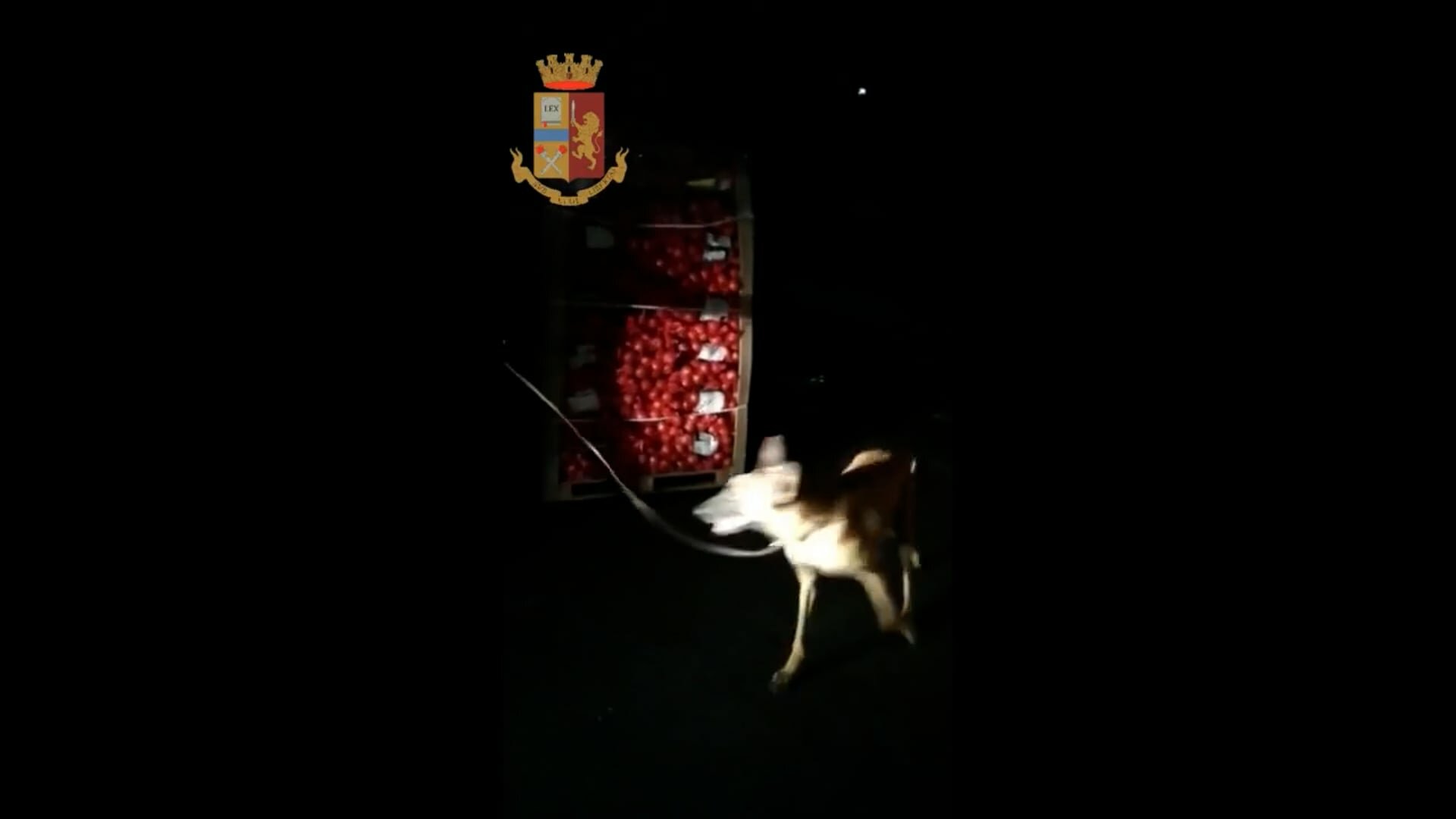 Frutta, verdura e marijuana