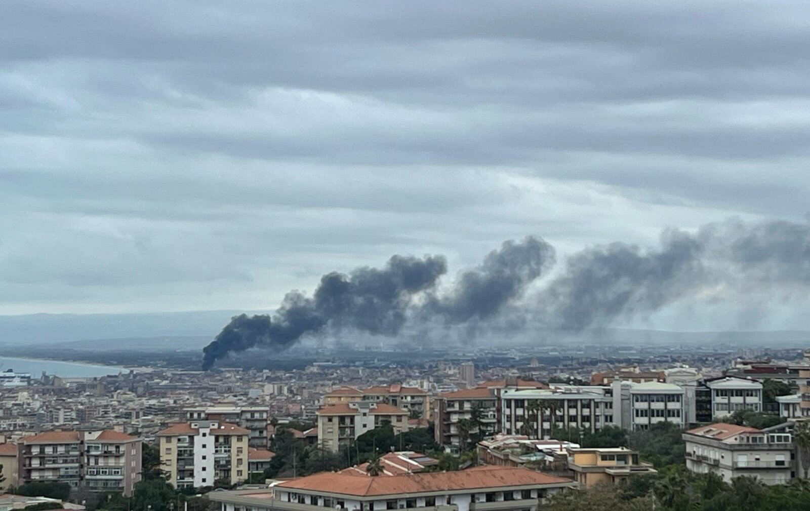 PHOTO-2025-03-18-10-08-25.jpg PHOTO-2025-03-18-10-08-25.jpg