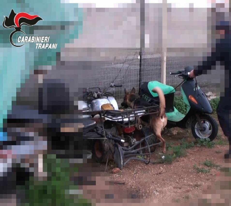 Estorsioni e droga, 12 arresti nel Trapanese Estorsioni e droga, 12 arresti nel Trapanese