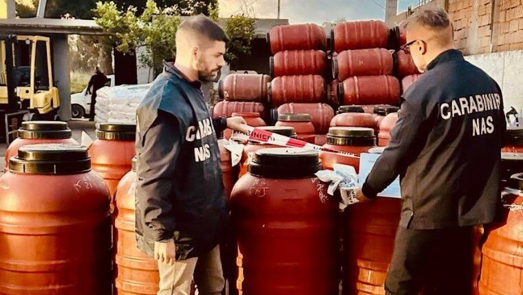 Frantoio abusivo, requisite 19 tonnellate di olive