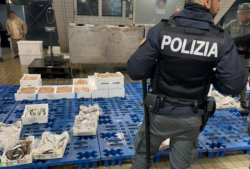 Aci Trezza: al mercato 170 chili di pesce non tracciati