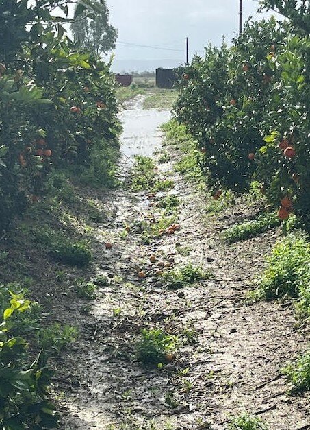 screenshot-2026-01-22-091421.jpeg screenshot-2026-01-22-091421.jpeg