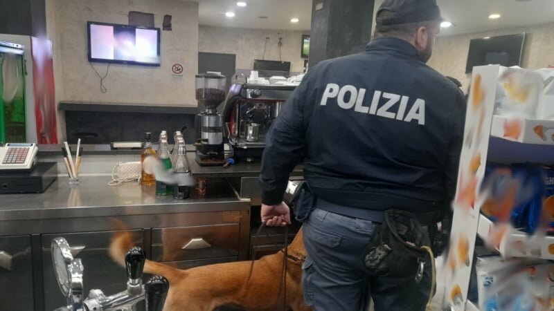 Getta droga nel cestino, il cane Pablo la fiuta