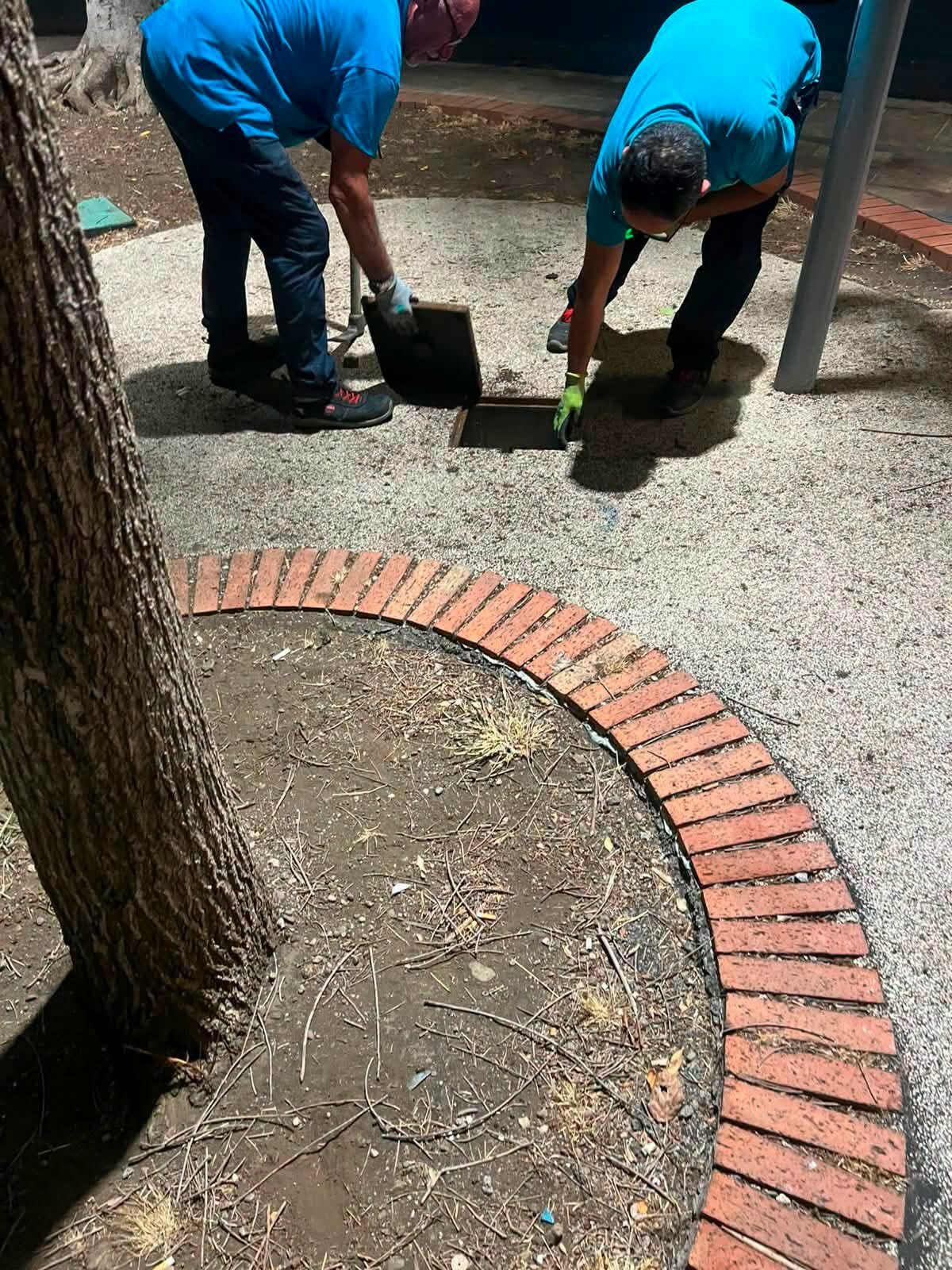 787367694_1294529305958640_287542206505314170_n.jpeg