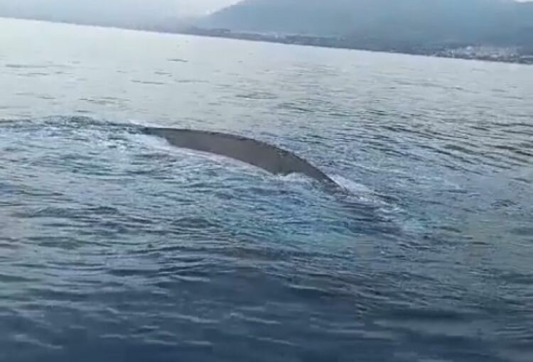 Ritrovata la barca scomparsa tra le onde: nessuno a bordo Ritrovata la barca scomparsa tra le onde: nessuno a bordo