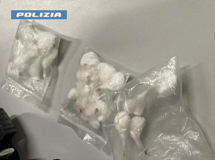 Lampeggiante blu sull'auto e droga in casa: arrestato