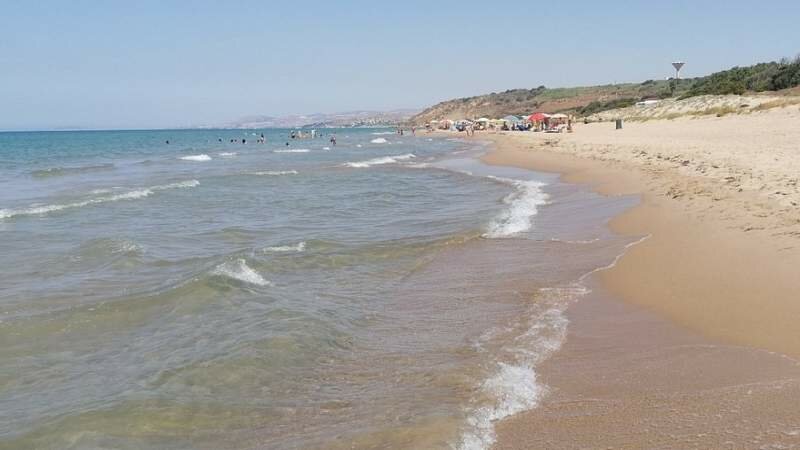 Madre e figlio aggrediti da randagi in spiaggia