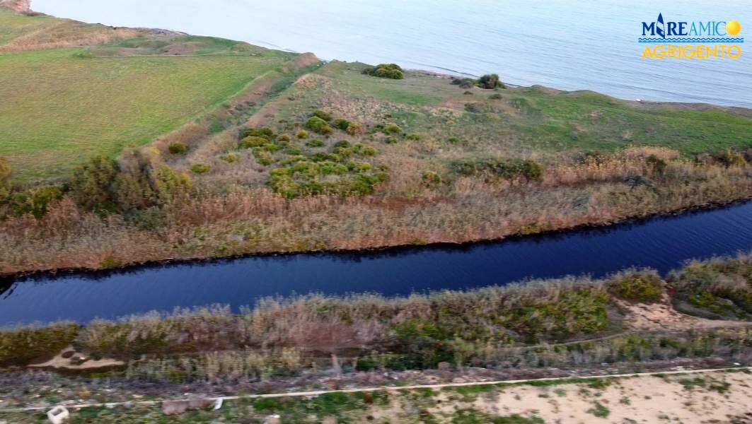 Scarti dei frantoi devastano i fiumi