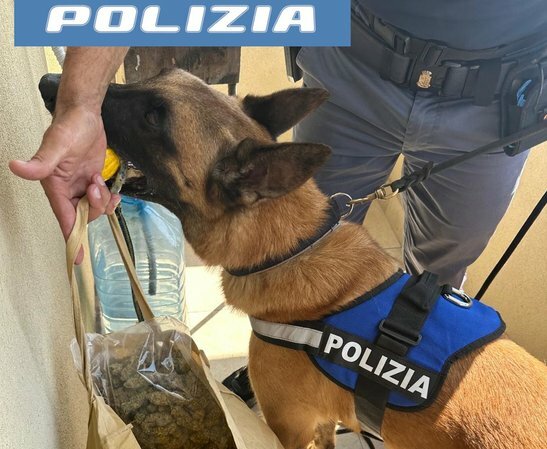 Nello scantinato di Librino droga di tutti i tipi