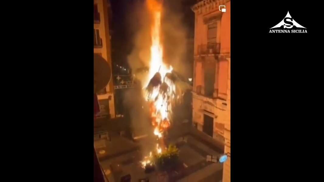 Palma incenerita, paura a Catania