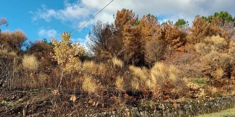 Sull'Etna i sentieri di fuoco