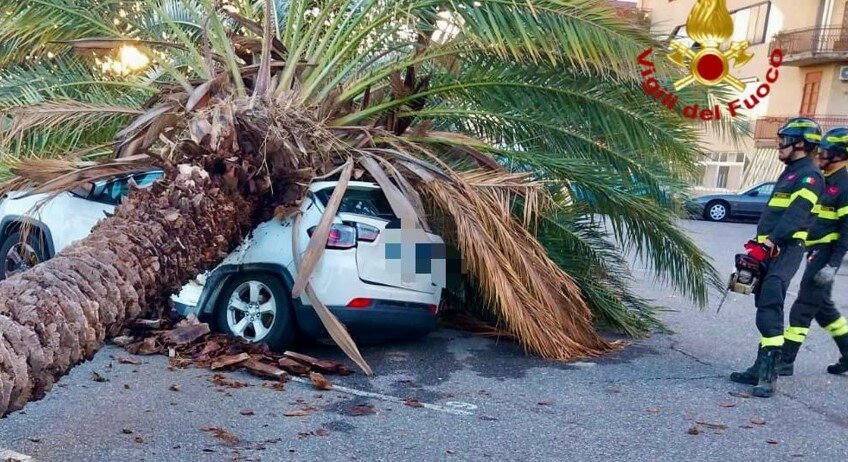 C'&egrave; un'auto sotto la palma
