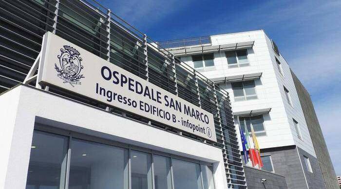 Cade mentre raccoglie olive e muore